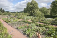 Looking across potager areas in contemporary walled-garden at Dumfries House. Separate growing-areas edged with low hedging of Buxus sempervirens syn. box. Summer, September.
