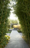 Raised path, between double row of Bamboo, leading to terrace with pergola.