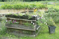 Flowers in display of wooden recycled pallets.