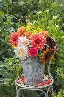Mixed bouquet of Dahlias and Helianthus annuus in metal bucket on chair