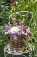 Wicker basket filled with white Dahlias, Lathyrus odorata, Scabious and Lupins on metal chair