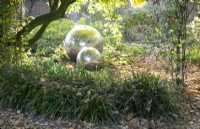 Large mirror balls laying in autumn leaves reflecting the garden.