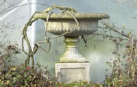 Ornamental aged Cotswold stone vase with curved branch.