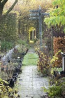 View along path in plant nursery with shade plants for sale in crates. Beyond wooden sign post and hedges.
