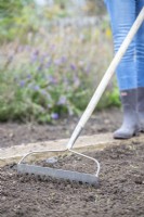 Woman using a rake to level out soil