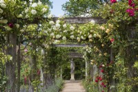 Formal pergola with  climbing roses leading to statue