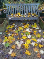 Garden seat and fallen Liriodendron tulipifera leaves in autumn