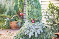 Evergreen Christmas troll