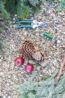 Various Pine branches, pinecones, apples, wire, secateurs, plant pot and a Hazel stick laid out on the ground
