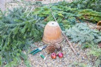 Various Pine branches, pinecones, apples, wire, secateurs, plant pot and a Hazel stick laid out on the ground
