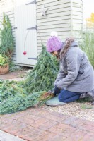 Woman using secateurs to cut conifer branches down to size