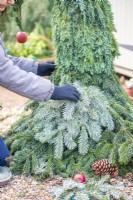 Woman placing pale conifer branches on the troll as a beard