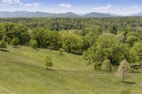Gently rolling meadow backed by deciduous woodland at Biltmore Estate with distant hills