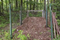 Transforming decaying leaves and twigs into compost in backyard garden in spring - May