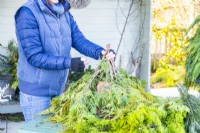 Woman using wire to tie conifer branches around the plant pot
