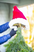 Woman placing hat on top of the conifer branches