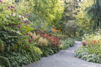 Path leading through  densely planted, colorful mixed borders backlit by evening sun