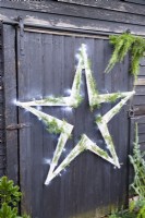 Wooden star with fairy lights and Cedar sprigs on black wooden wall