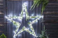 Wooden star with fairy lights and Cedar sprigs on black wooden wall