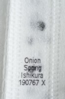 Allium fistulosum  'Ishikura'  Spring onion  Seed tape  June
