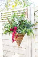 Evergreen Christmas hanging basket