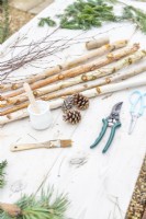Birch branches, pine cones, string, scissors, secateurs, white paint and a paint brush laid out on a table
