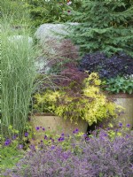 Two large rustic containers planted with assorted shrubs and perennials nestled within border. Color scheme of green, gold and purple