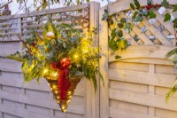 Evergreen Christmas hanging basket lit up with fairy lights