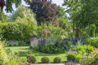 View of garden in summer with herbaceous borders. Wirework garden seat, box topiary balls June