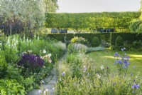 Walled town garden with herbaceous borders, clipped box, formal neatly mown lawn, clipped hawthorn internal hedge and pleached field maples - June.