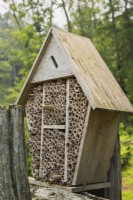 Bug hotel made from cut and hollow bamboo shoots for insects to hibernate for the winter in backyard garden, Quebec, Canada - July