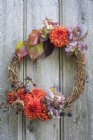 Autumn wreath - Orange Dahlias, Sorbus berries, Chrysanthemums, Hydrangeas, blackberries and Vitis foliage against rustic wooden background