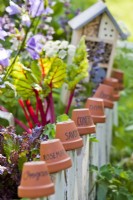 Tiny kitchen garden with terracotta pot labels.