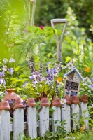 Tiny wildlife friendly kitchen garden with herbs, flowers, vegetables and an insect house.