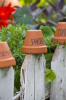 Terracotta pot label for savory on a fence.