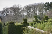 Alice in Wonderland themed topiary in yew at Perrycroft, Herefordshire in March