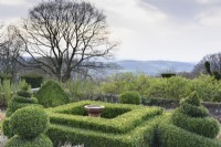View west across the formal garden at Perrycroft, Herefordshire in March featuring clipped box around a central bird bath.