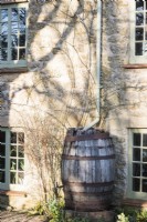 Old barrel water butt against the wall of the Malthouse at East Lambrook Manor in February