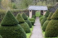 Path through the formal garden at Perrycroft, Herefordshire in March framed by clipped yew topiary