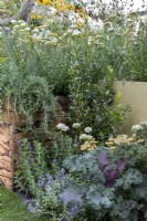 Flowers, vegetables and herbs planted in small courtyard garden, RHS Chelsea Flower Show 2021, Parsley Box Garden