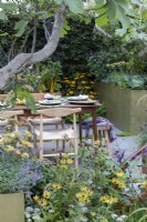 Courtyard garden with table and chairs.  Ficus carica grown in container, herbs including marjoram and white chives, Rudbeckia fulgida var. sullivantii 'Goldsturm', Achillea 'Terracotta', Rudbeckia subtomentosa 'Henry Eilers', Nepeta faassenii 'Junior Walker', and Verbena bonariensis.