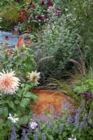Echinacea 'Eccentric', Persicaria amplexicaulia 'Fire Dance' Erigeron 'Lavender Lady, Dahlia, Pennisetum, Kniphofia and Miscanthus sinensis. Rusted metal pool at centre. RHS Chelsea Flower Show 2021, NHS Tribute Garden