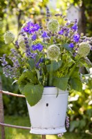 Floral arrangement in enamel bucket including Campanula, Salvia verticillata and Allium fistulosum.