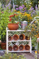 Plant stand with pot grown tomato, watering can and clay pots on patio.
