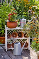 Plant stand with pot grown tomato, watering can and clay pots on patio.