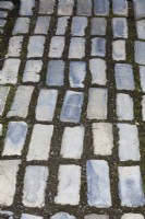 Footpath made of paving stones in garden - August