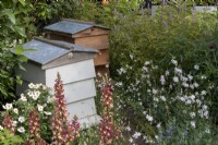 Bee hives and meadow planting in border.