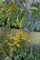 Trough with Rudbeckia fulgida var. sullivantii 'Goldsturm', Nepeta faassenii 'Junior Walker', RHS Chelsea Flower Show 2021, Parsley Box Garden