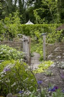 Woven Hazel hurdle fence leading in to coppiced garden in cottage garden