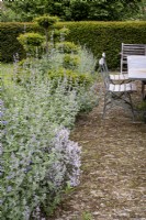 Nepeta 'Six Hills Giant' edging stone terrace with outdoor dining areas